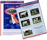 member adverts