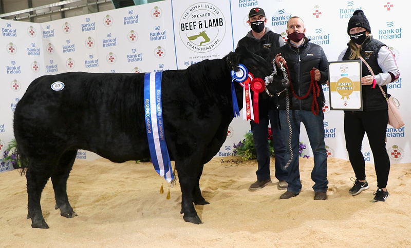 Reserve Supreme Champion Gareth Small with buyers John & Hannah Kingham