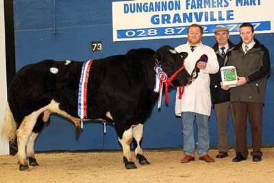 Ballylucas Buster