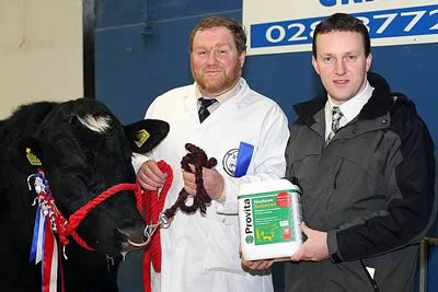 Harold McKee, Secretary, Northern Ireland Blue Cattle Club chats to Alan Cleland, President and John Fleming, Secretary, British Blue Cattle Club.
