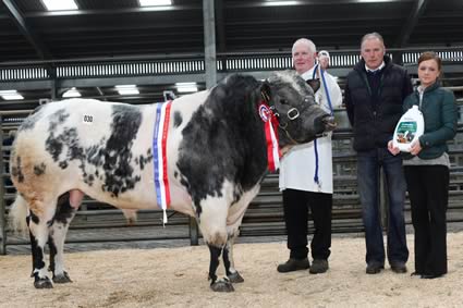 Knockagh Freddie, with Judge John Killen and Rachel Wilson from Provita