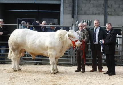 Chatham Harold with owner Jack Morrison, judge Samuel Cleland and sponsor Richard Graham from Danske Bank, Ballymena