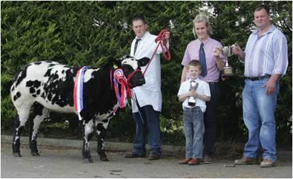 Stephen O Kane Overall Champion with Turlough O Kane and Lynsay Lawerence and judge Richard Mackey at the British Blue Calf show in Moira. Picture Kevin McAuley/Kevin McAuley Photography Mutimedia