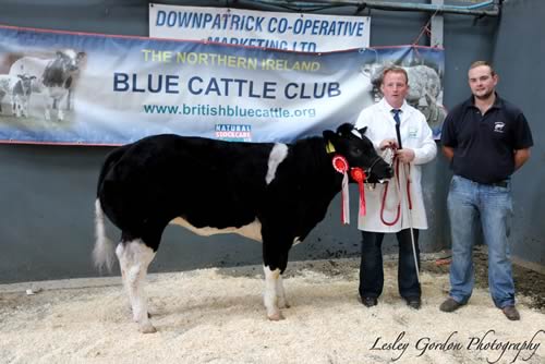 Female Champion - Rostrevor Kate with Pascal McGinn and David Young