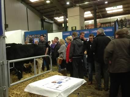 English Winter Fair 2012