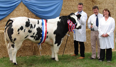 Springfield Anastasia with handler Ian Lancaster, judge Rhys Jenkins and Deirdre Wilkinson