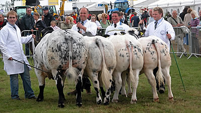 The Group of Four Reserve Champions
