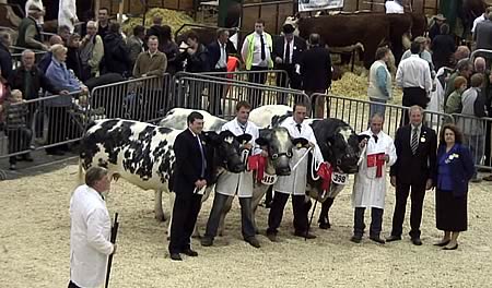 stafford county show