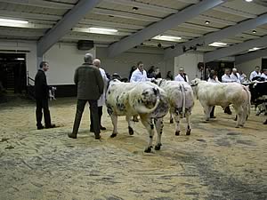 Allan Wilkinson and Springfield Asher receive the ribbons in their class from judge John Hall