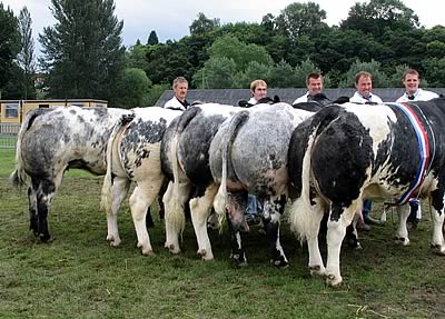Tamhorn Anastasia, Norton Alpine, Norton Arrow, led by assisting Blue exhibitors, Ludlow Archers with Nigel Pritchard and Ridge Dean Rita with Adam Neachell