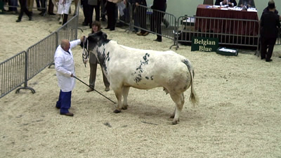 Roger Birch with Burton Trudi