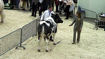 Adam Neachell with Unanimite Des Cras Avernas