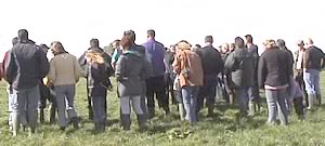 Wilkinson Farmwalk