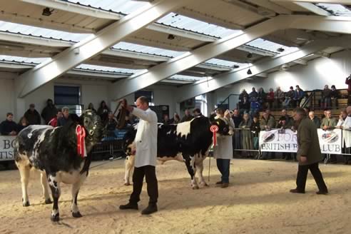 Richard Carter Judging
