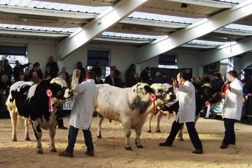 Richard Carter Judging