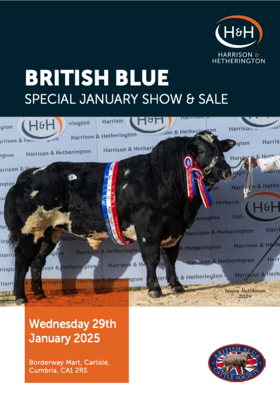 Special January Show & Sale 2025