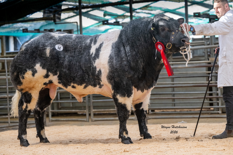 Solway View Ussainbolt