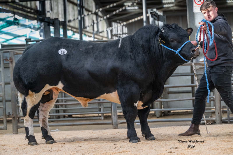 Littlebank Uncle Sam