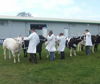 The Young Farmers Competition