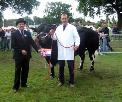 Presentation to the Champion Male, Ballygrange Alex