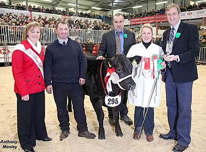 Supreme Baby Beef Champion