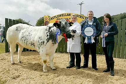 Snowy Ridge Emerald ET Overall Reserve Champion