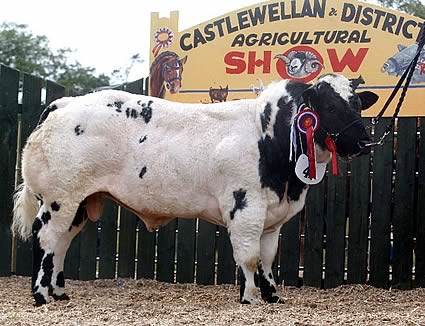 Snowy Ridge Equalizer ET Overall Supreme Champion