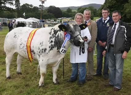 Overall Reserve Champion Snowy Ridge Emerald ET with Louise McCarthy (nee Annett) Judge Victor Chestnutt, Stephen Gordon Ring Stewart and Harold McKee Club Secretary