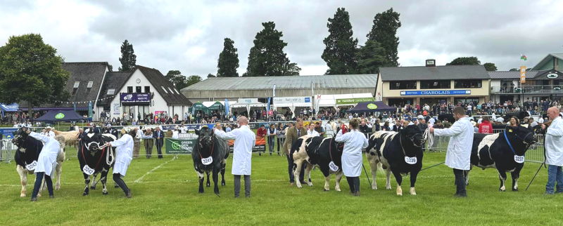 Royal Welsh British Blue Line-up